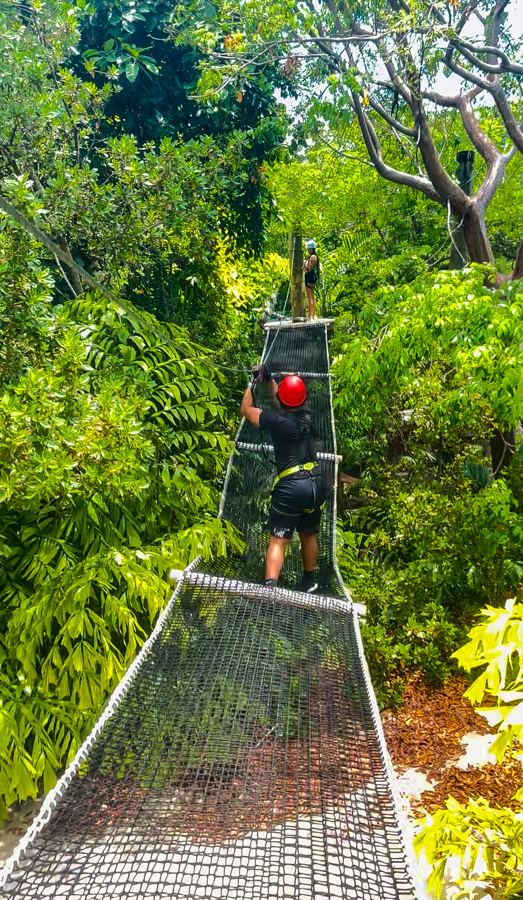 Jungle Island