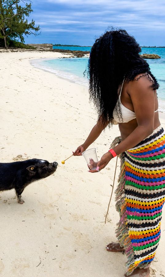 Feeding the pigs at Pig Beach