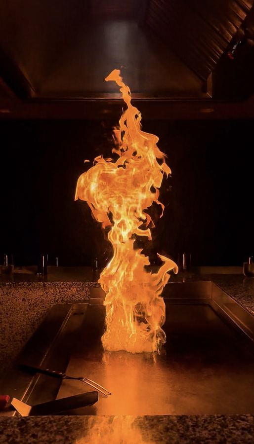 The Hibachi Dinner Show